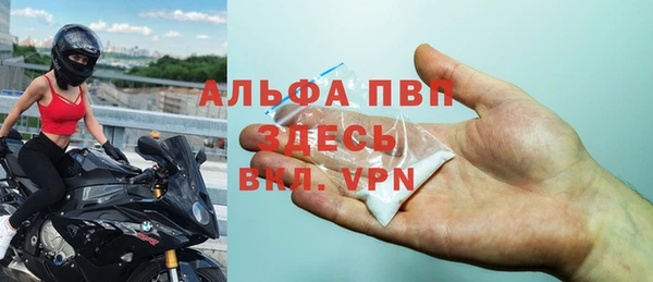 амф Пестово