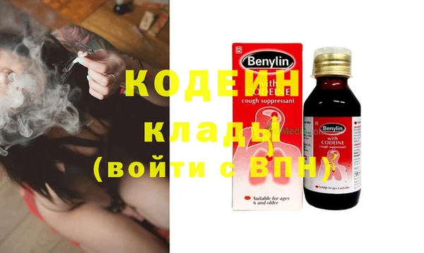 ПСИЛОЦИБИНОВЫЕ ГРИБЫ Осинники