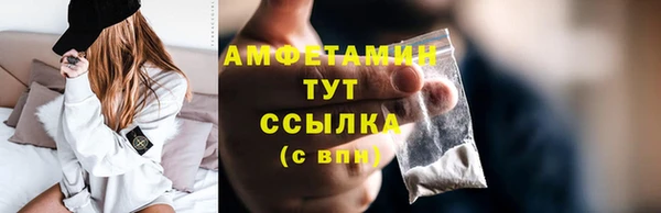 ПСИЛОЦИБИНОВЫЕ ГРИБЫ Осинники