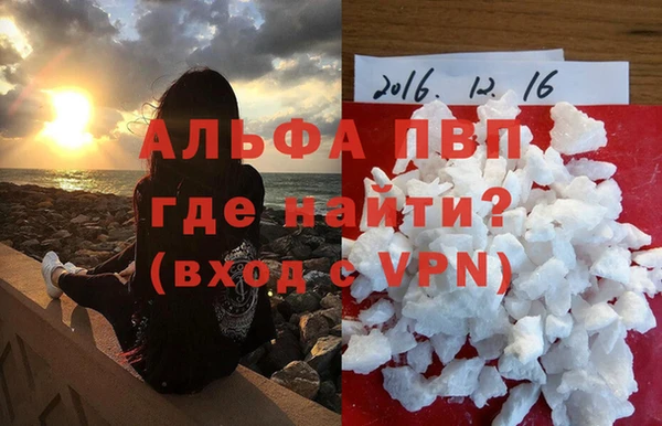 ПСИЛОЦИБИНОВЫЕ ГРИБЫ Осинники