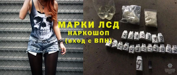 ПСИЛОЦИБИНОВЫЕ ГРИБЫ Осинники