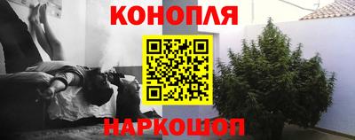 сатива Бийск