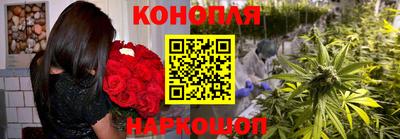 сатива Бийск