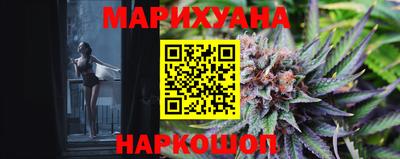 сатива Бийск
