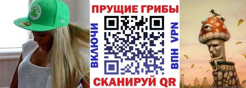 shop как зайти  где можно купить   Гурьевск  Галлюциногенные грибы прущие грибы 
