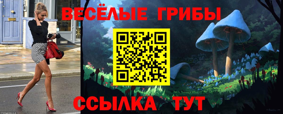 Галлюциногенные грибы Psilocybe  Гурьевск  Галлюциногенные грибы MAGIC MUSHROOMS 